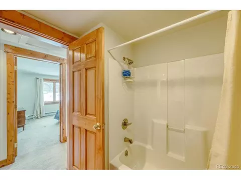 65 Landon Ln, Dillon, CO 80435 photo 25