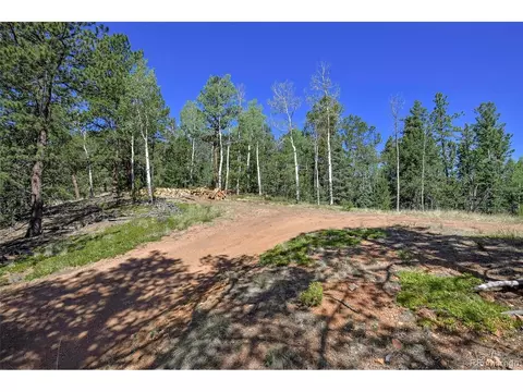 20083 S State Highway 67, Divide, CO 80814 photo 6