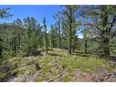 20083 S State Highway 67, Divide, CO 80814 photo 12
