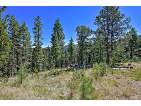 20083 S State Highway 67, Divide, CO 80814 photo 3