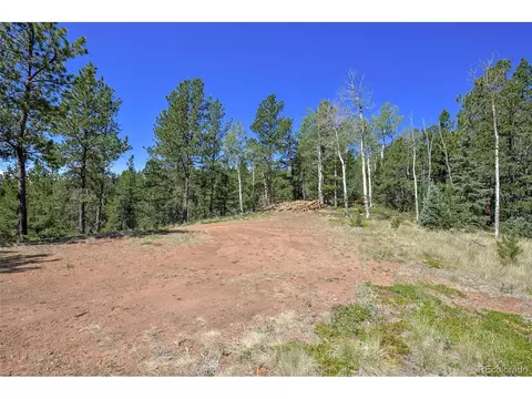 20083 S State Highway 67, Divide, CO 80814 photo 5