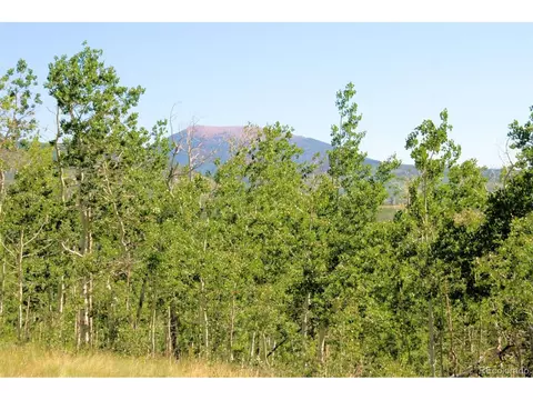 148 Palmer Peak Dr, Fairplay, CO 80440