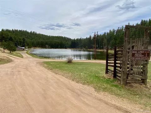 4281 County Road 72, Bailey, CO 80421 photo 27