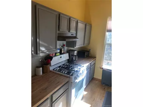 627 N Pine Dr, Bailey, CO 80421 photo 6