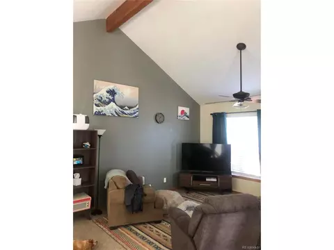 627 N Pine Dr, Bailey, CO 80421 photo 4