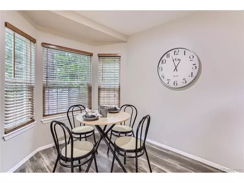 19391 E Scott Pl, Denver, CO 80249 photo 8