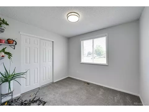 3407 E 117th Pl, Thornton, CO 80233 photo 15