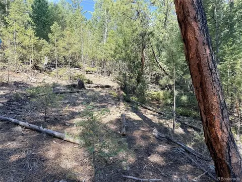 12907 S Cindy Ave, Pine, CO 80470 photo 13
