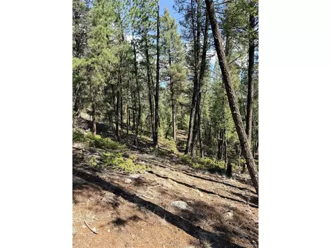 12907 S Cindy Ave, Pine, CO 80470 photo 7