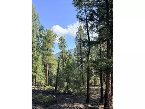 12907 S Cindy Ave, Pine, CO 80470 photo 4