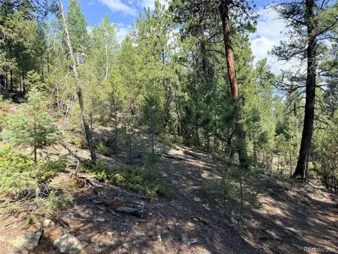 12907 S Cindy Ave, Pine, CO 80470 photo 15