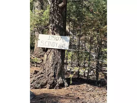 12907 S Cindy Ave, Pine, CO 80470 photo 2