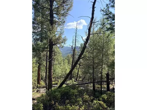 12907 S Cindy Ave, Pine, CO 80470 photo 10