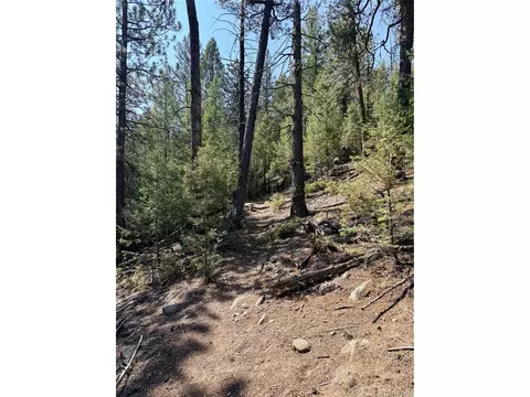 12907 S Cindy Ave, Pine, CO 80470 photo 16