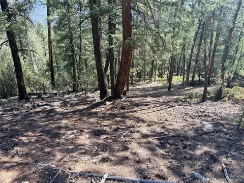 12907 S Cindy Ave, Pine, CO 80470 photo 14