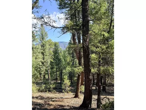 12907 S Cindy Ave, Pine, CO 80470 photo 6