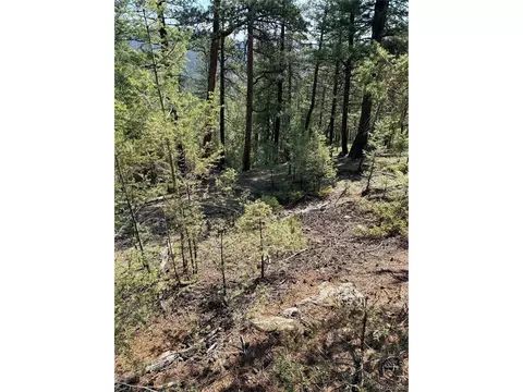 12907 S Cindy Ave, Pine, CO 80470 photo 12