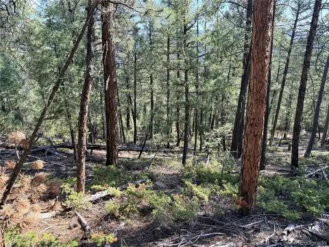 12907 S Cindy Ave, Pine, CO 80470 photo 8