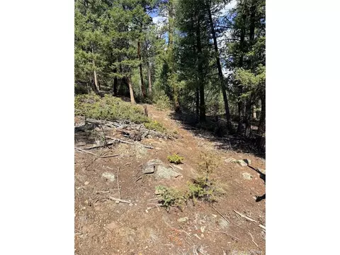12907 S Cindy Ave, Pine, CO 80470 photo 19