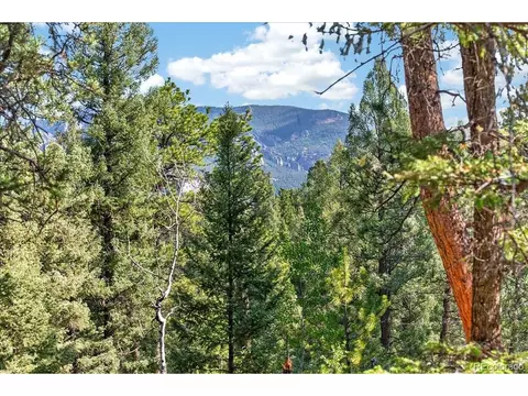12907 S Cindy Ave, Pine, CO 80470 photo 5