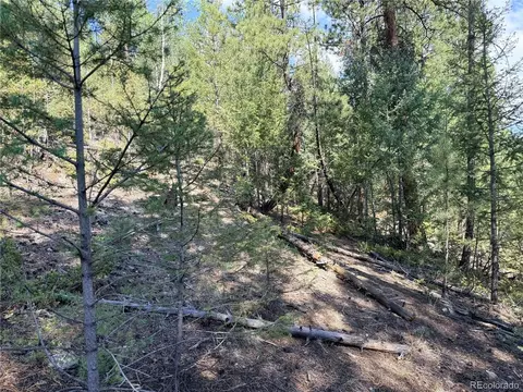 12907 S Cindy Ave, Pine, CO 80470 photo 17