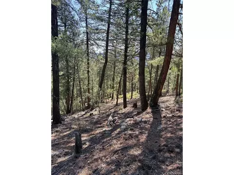 12907 S Cindy Ave, Pine, CO 80470 photo 18