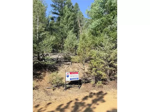 12907 S Cindy Ave, Pine, CO 80470 photo 3