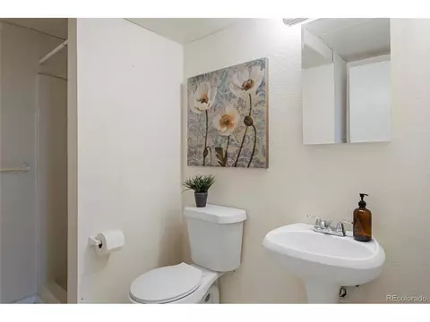 8097 Lee Ct, Arvada, CO 80005 photo 26