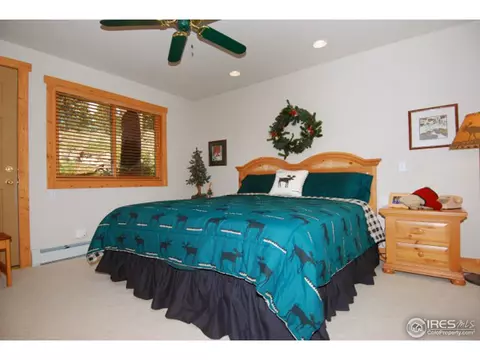 1402 Pine Cone Cir, Ward, CO 80481 photo 13