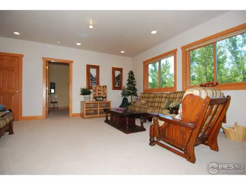 1402 Pine Cone Cir, Ward, CO 80481 photo 24