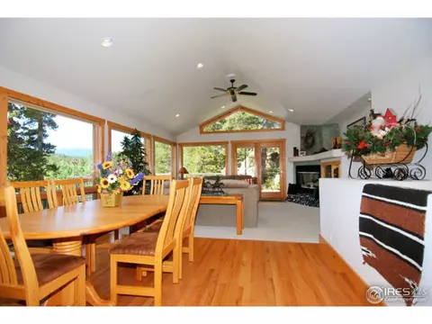 1402 Pine Cone Cir, Ward, CO 80481 photo 8