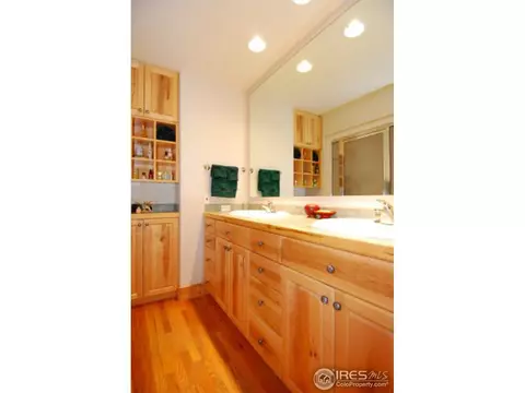 1402 Pine Cone Cir, Ward, CO 80481 photo 20