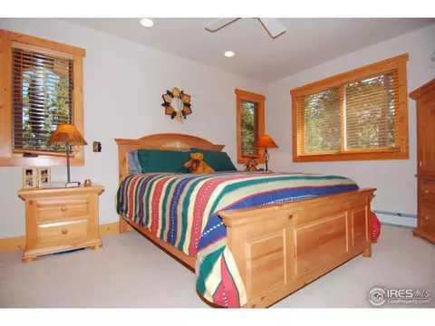 1402 Pine Cone Cir, Ward, CO 80481 photo 15