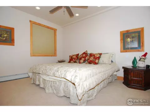 1402 Pine Cone Cir, Ward, CO 80481 photo 19
