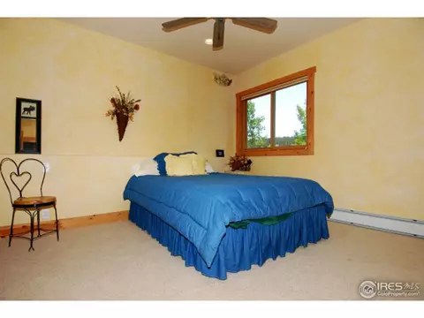 1402 Pine Cone Cir, Ward, CO 80481 photo 18