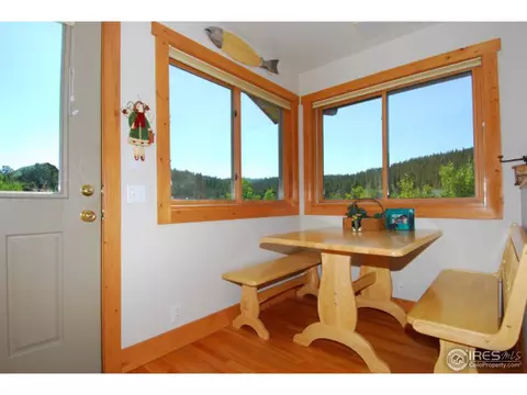 1402 Pine Cone Cir, Ward, CO 80481 photo 11
