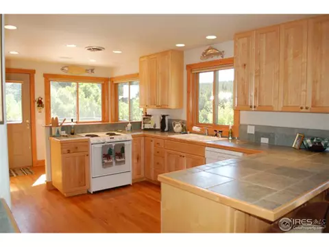 1402 Pine Cone Cir, Ward, CO 80481 photo 9