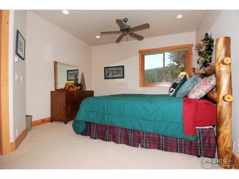 1402 Pine Cone Cir, Ward, CO 80481 photo 17