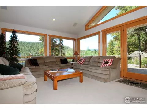 1402 Pine Cone Cir, Ward, CO 80481 photo 12