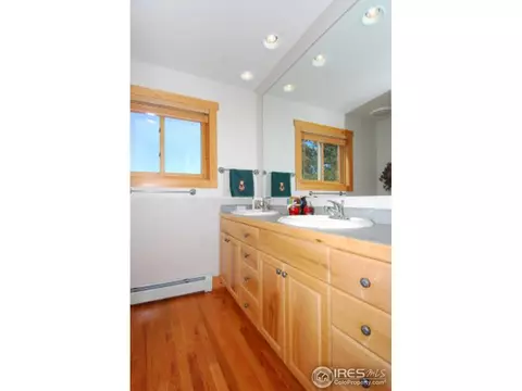 1402 Pine Cone Cir, Ward, CO 80481 photo 22