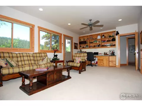 1402 Pine Cone Cir, Ward, CO 80481 photo 23