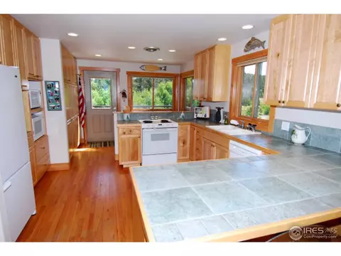 1402 Pine Cone Cir, Ward, CO 80481 photo 10
