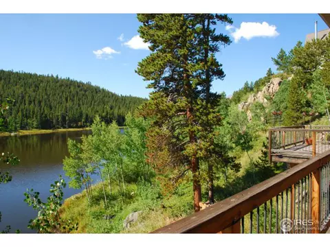 1402 Pine Cone Cir, Ward, CO 80481 photo 25