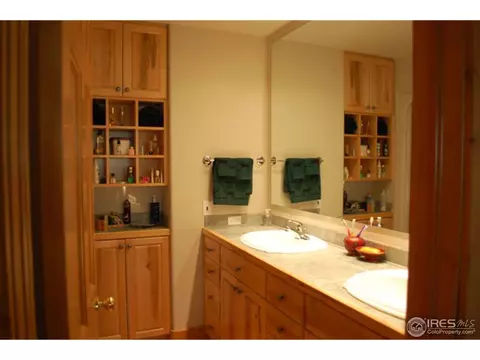 1402 Pine Cone Cir, Ward, CO 80481 photo 21