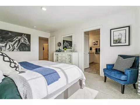 7548 E 159th Pl, Thornton, CO 80602 photo 19