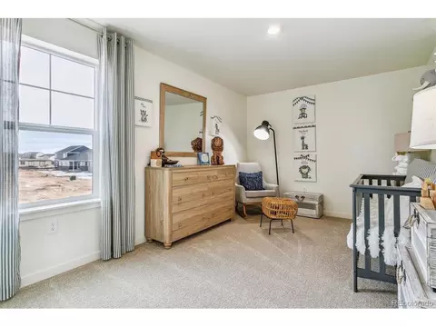 7548 E 159th Pl, Thornton, CO 80602 photo 26