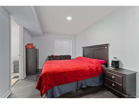 21153 E 47th Ave, Denver, CO 80249 photo 24