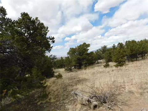 115 Deer Run, Mosca, CO 81146 photo 3