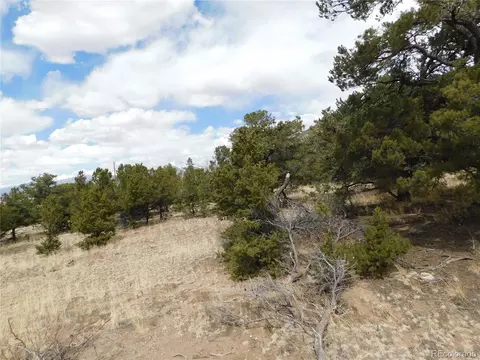 115 Deer Run, Mosca, CO 81146 photo 4