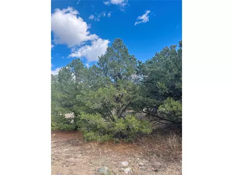 112 Eagles Nest Dr, Mosca, CO 81146 photo 7